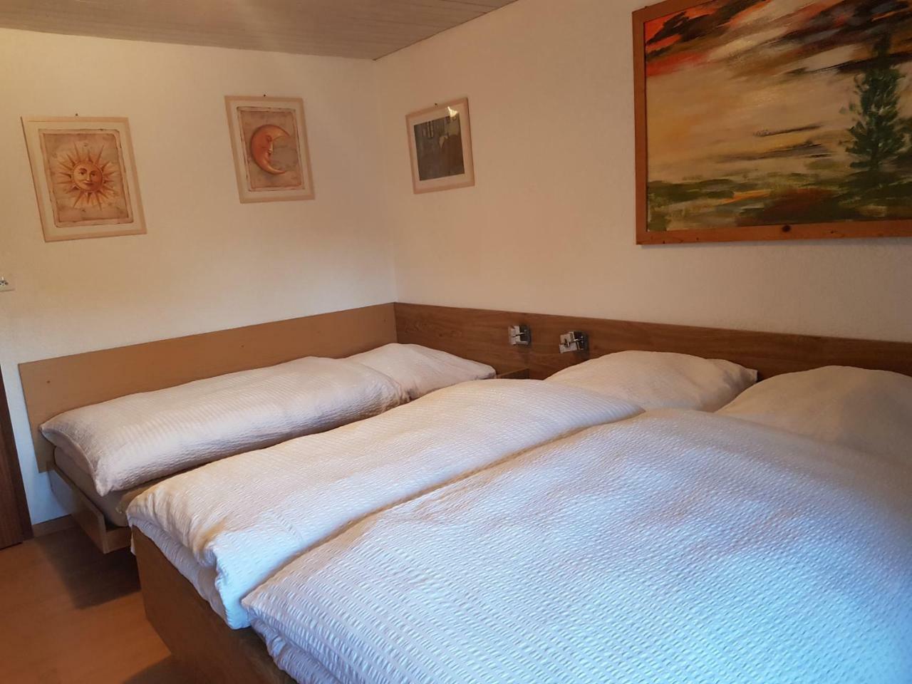 Garni-Hotel Muehletal 施泰因 外观 照片
